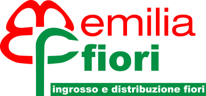 Emilia Fiori - Ingrosso e Distribuzione fiori