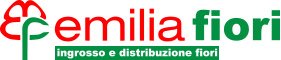 Emilia Fiori Logo